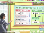 メディア掲載